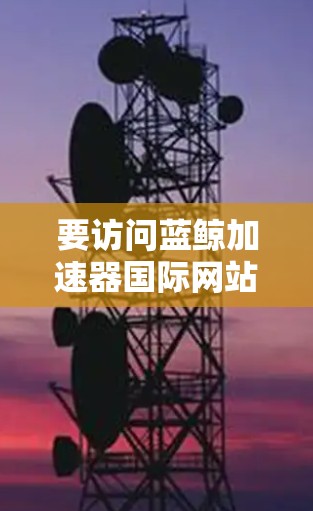 要访问蓝鲸加速器国际网站，您可以按照以下步骤进行