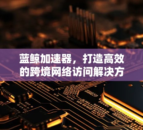 蓝鲸加速器，打造高效的跨境网络访问解决方案